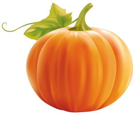 pumpkin background clipart